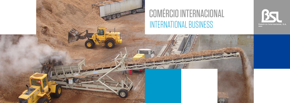 BSL-comercio-internacional_II