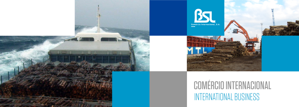 BSL-comercio-internacional_III